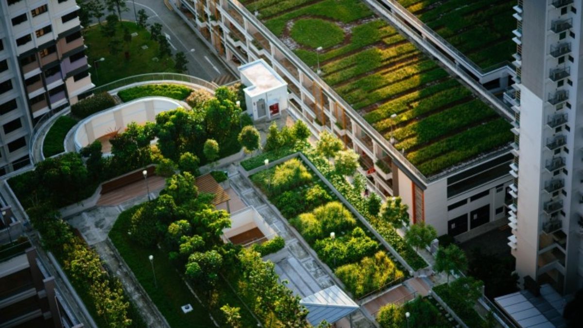 Foto: Unsplash Foto: Unsplash