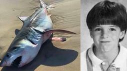 El tiburón que atacó al niño en Florida.