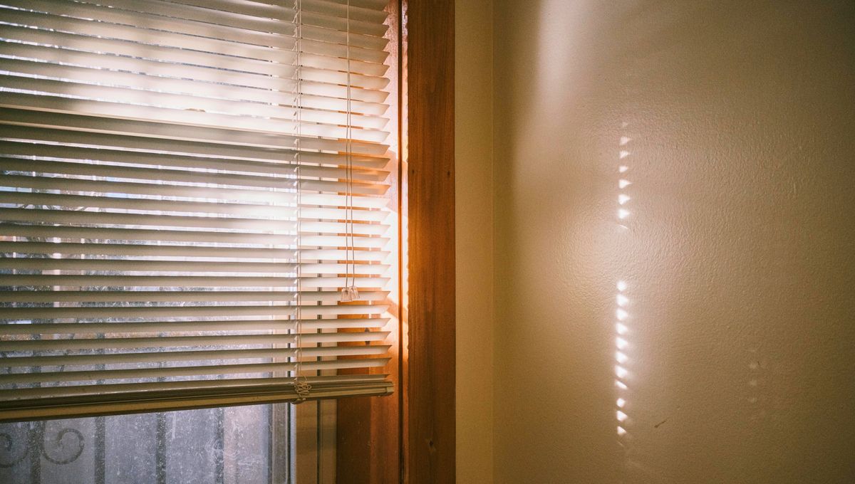 Con vinagre se puede limpiar la persiana, el marco y los cristales de la ventana. Con vinagre se puede limpiar la persiana, el marco y los cristales de la ventana.