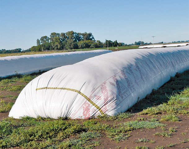 La devaluación y el negocio agropecuario