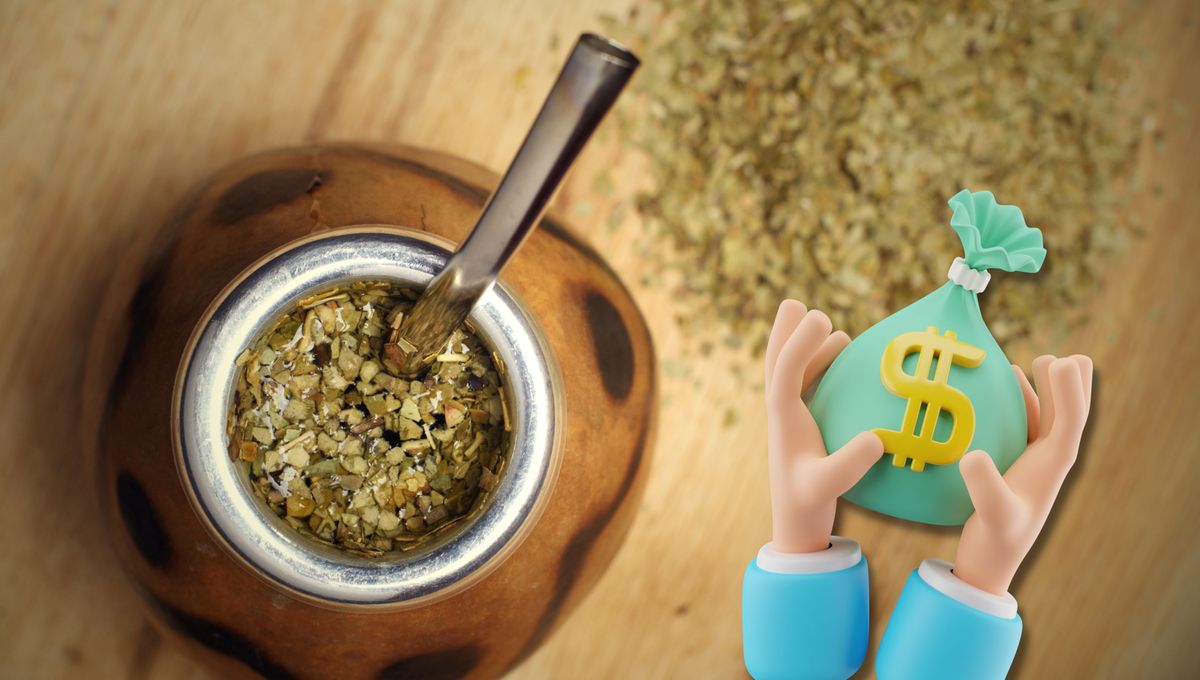 La yerba mate es un elemento clave en la alacena de los argentinos. Esta infusión proporciona enormes beneficios a la salud y acompaña cada momento del día.