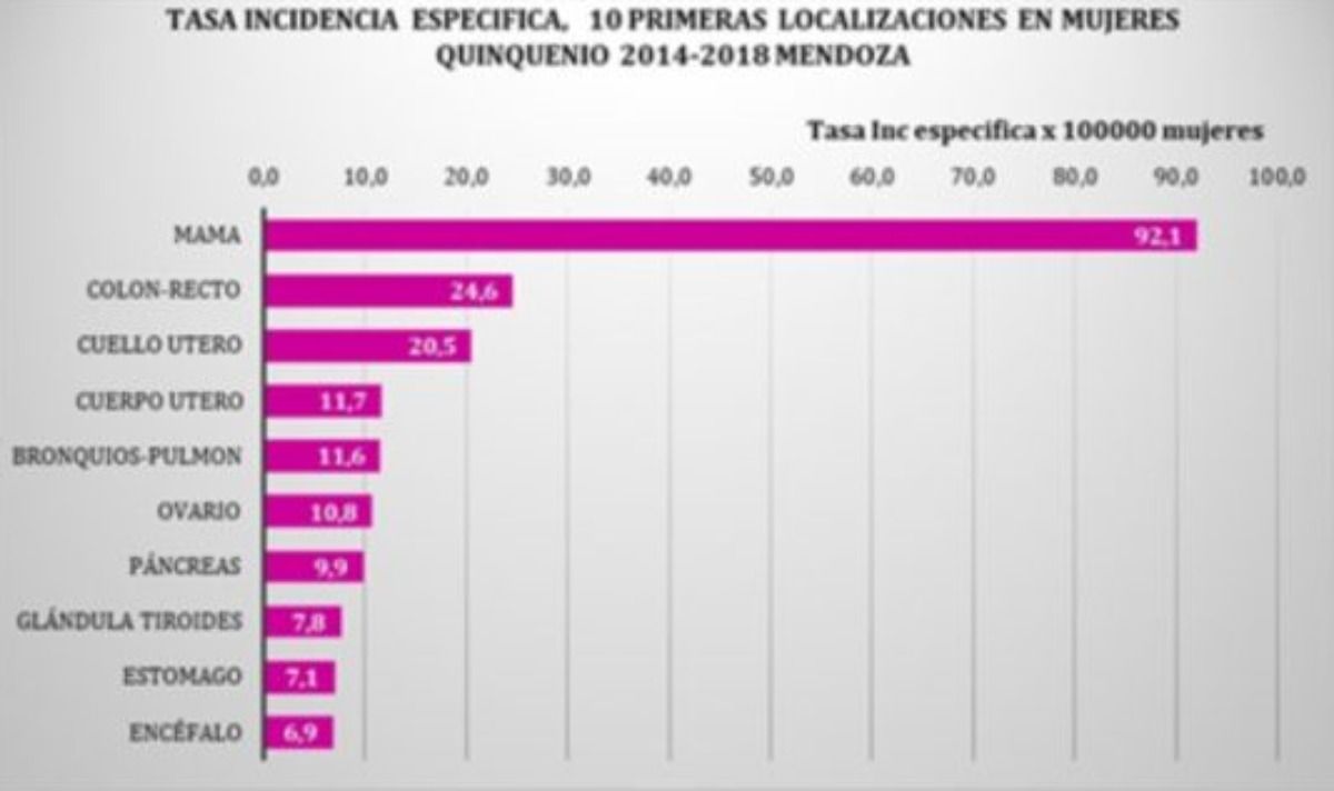 La incidencia de los distintos tipos de cáncer entre las mujeres de Mendoza. La incidencia de los distintos tipos de cáncer entre las mujeres de Mendoza. 