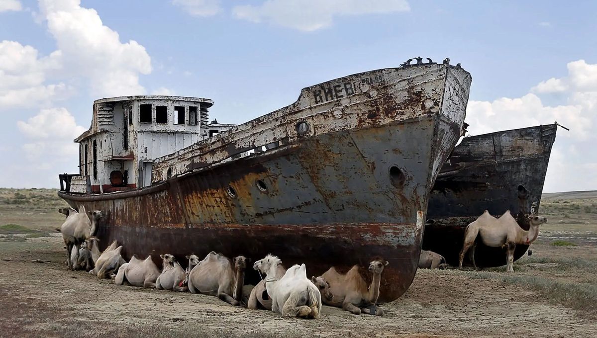 El gigantesco lago que se convirtió en una catástrofe desolada. El gigantesco lago que se convirtió en una catástrofe desolada.