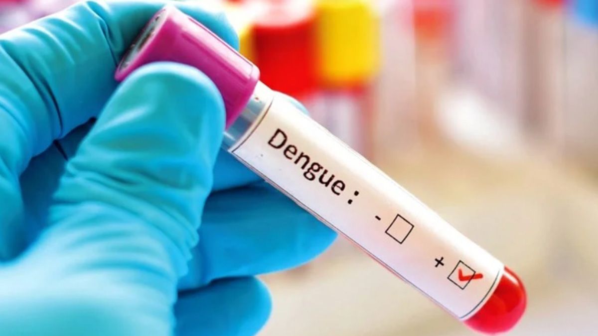 Hasta la semana pasada, en Mendoza había 550 personas con dengue. Pese al aumento de casos, no recomiendan la vacuna. Hasta la semana pasada, en Mendoza había 550 personas con dengue. Pese al aumento de casos, no recomiendan la vacuna.