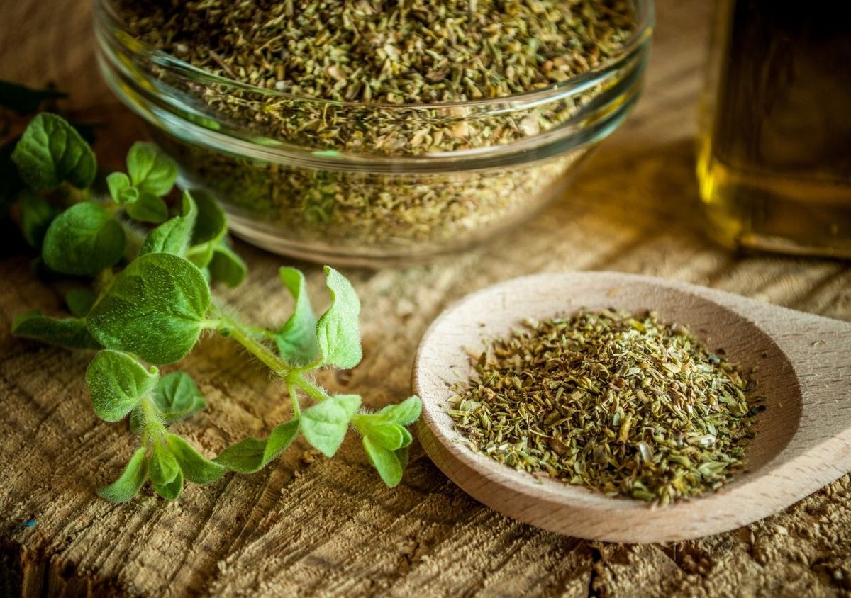 Orégano en las plantas: por qué recomiendan espolvorear un poco y para qué sirve Orégano en las plantas: por qué recomiendan espolvorear un poco y para qué sirve