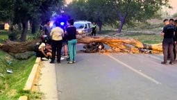 El intenso viento causó diversos problemas en Mendoza. El intenso viento causó diversos problemas en Mendoza.