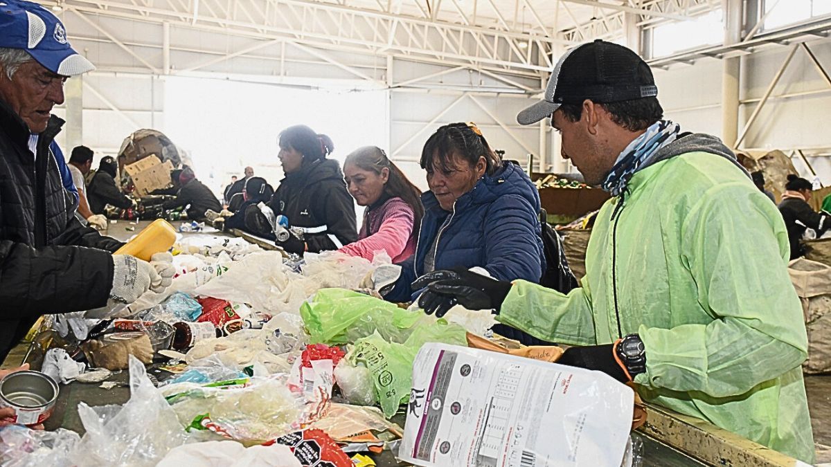 La capacitación consiste en el trabajo en la planta de reciclaje, pero también en algunos tips comunicacionales para conversar con los vecinos acerca de la importancia de separar los residuos La capacitación consiste en el trabajo en la planta de reciclaje, pero también en algunos tips comunicacionales para conversar con los vecinos acerca de la importancia de separar los residuos