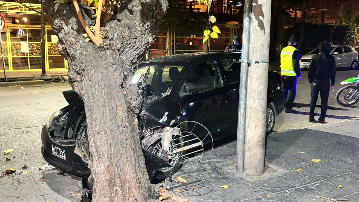 El conductor se quedó dormido en pleno viaje. Su pasajera terminó herida tras chocar contra un árbol en Capital. Foto: Matías Pascualetti.