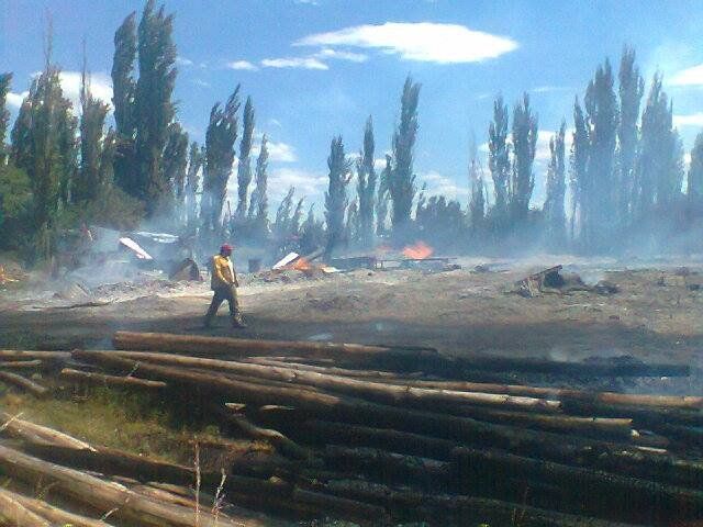 Un incendio destruyó un aserradero