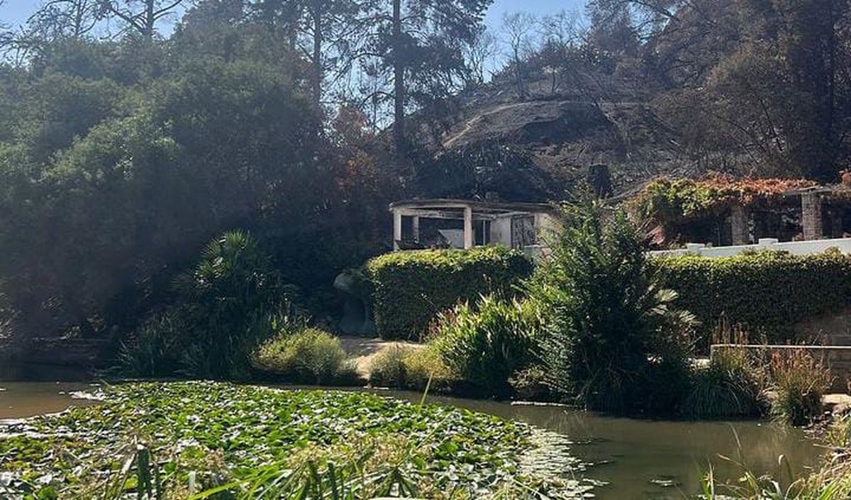 "Hubo daño y afectación en los bosques laterales que son perimetrales. Ahí no quedó nada, es duro de ver", explicó el director. "Hubo daño y afectación en los bosques laterales que son perimetrales. Ahí no quedó nada, es duro de ver", explicó el director.