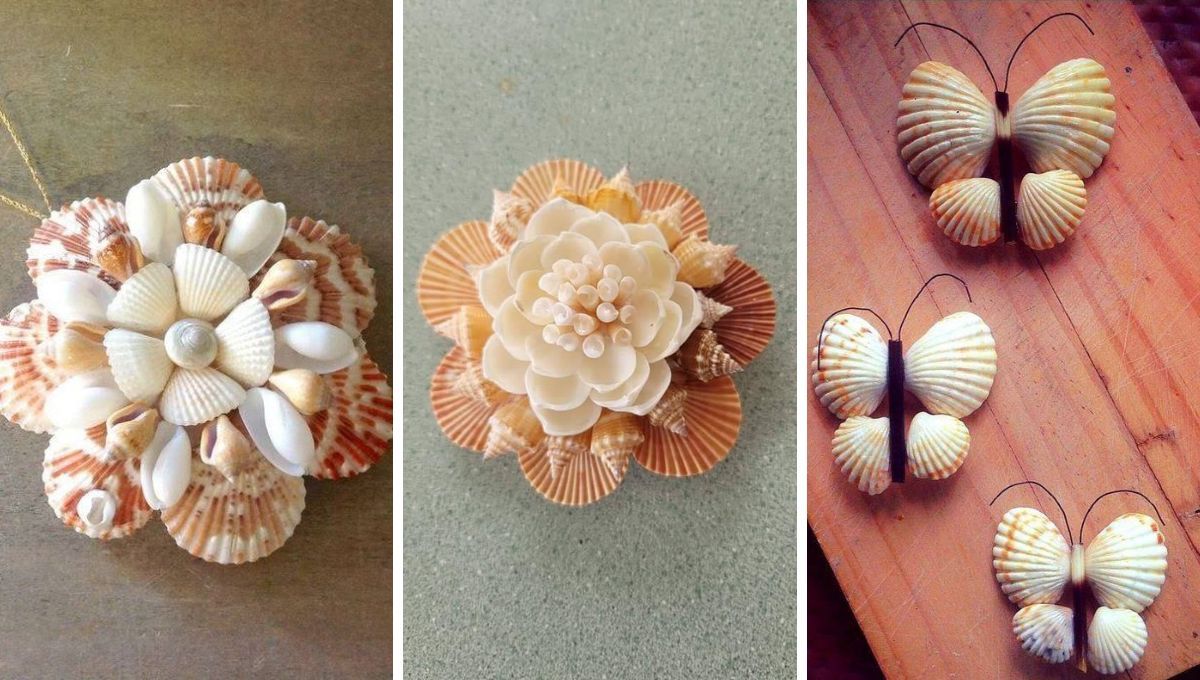 Reciclar caracoles. Reciclar caracoles.