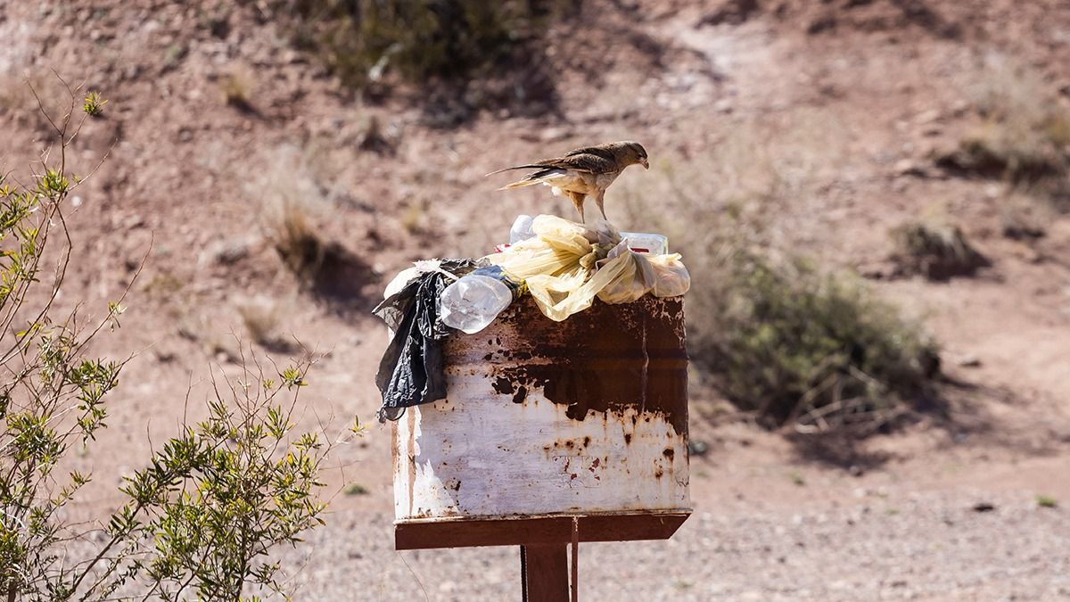 Es una pena que los alrededores del lago se vean así. Por eso hace falta el desarrollo. Es una pena que los alrededores del lago se vean así. Por eso hace falta el desarrollo.
