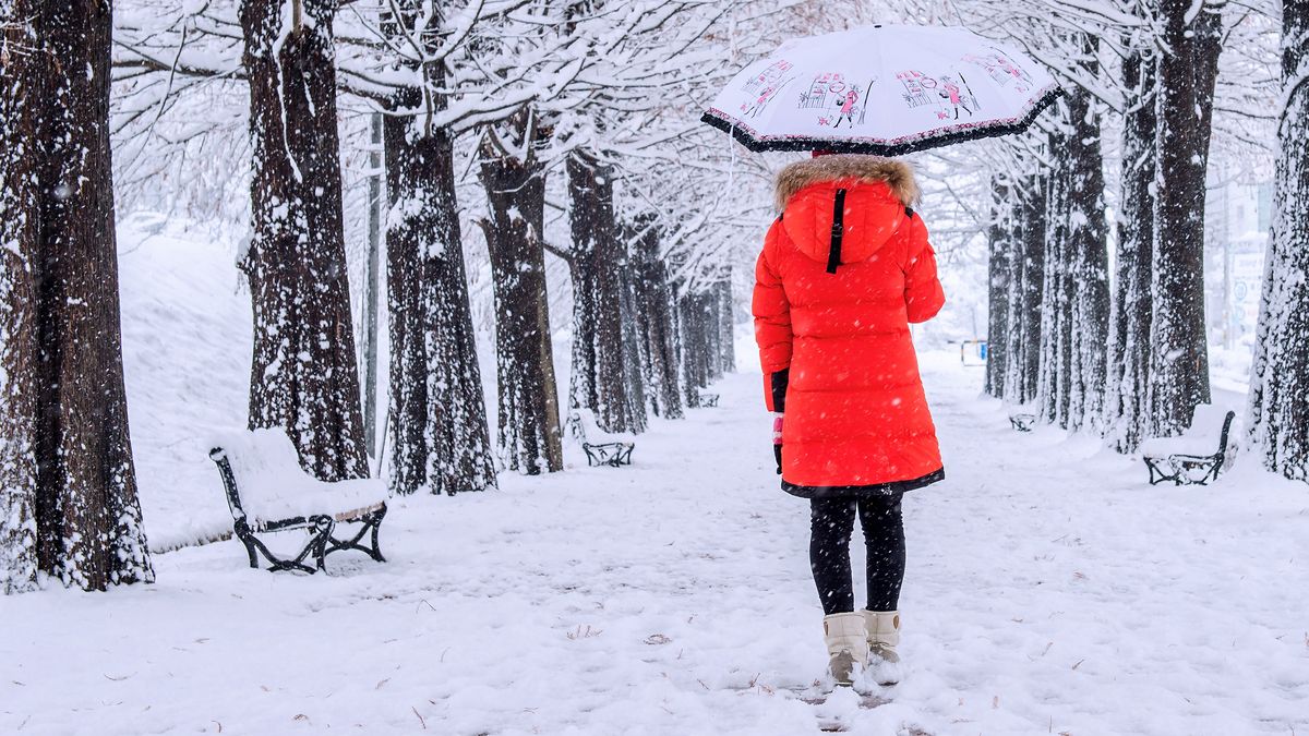 Sabiduría japonesa: el truco para no tener frío en los pies durante el invierno Sabiduría japonesa: el truco para no tener frío en los pies durante el invierno