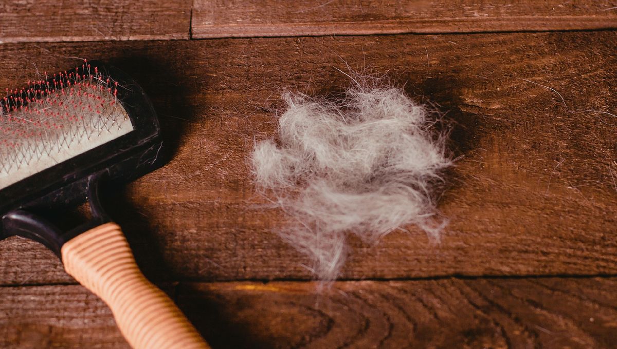Dos trucos de limpieza relacionados y similares que se pueden realizar en casa sin ningún tipo de dificultad. Dos trucos de limpieza relacionados y similares que se pueden realizar en casa sin ningún tipo de dificultad.