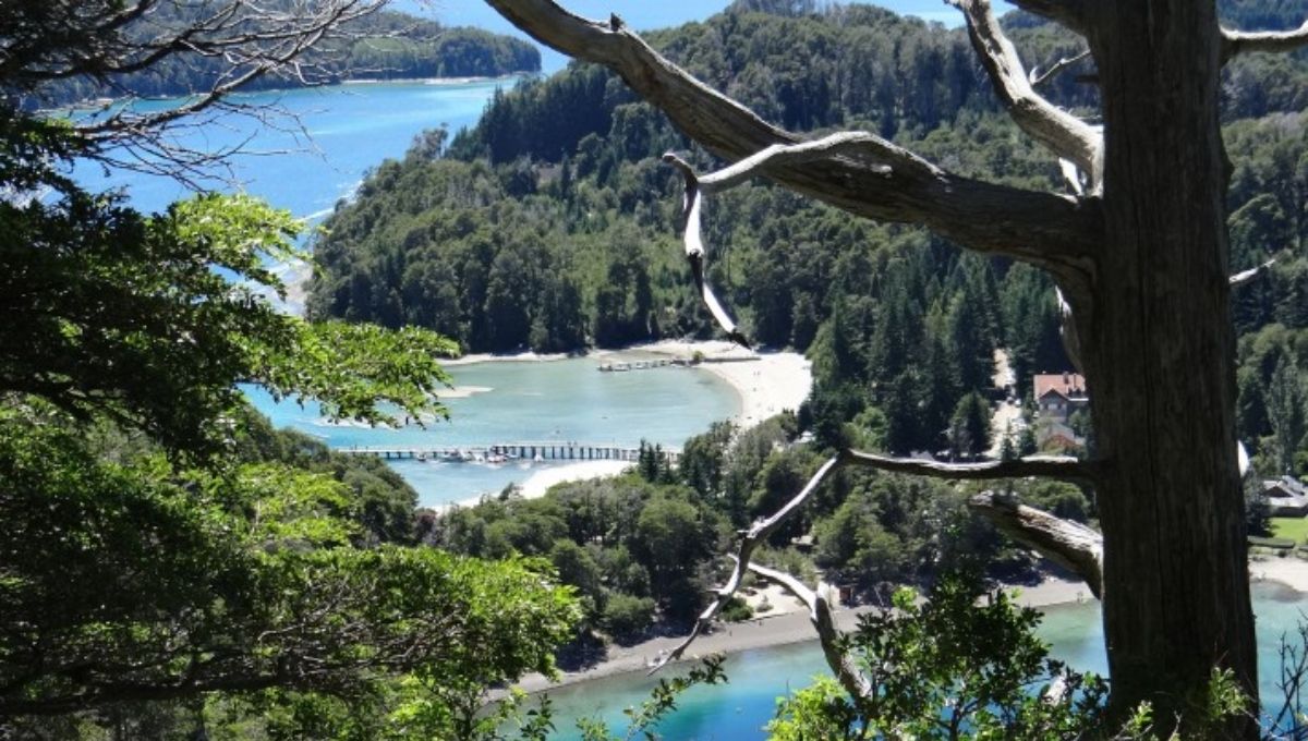 Istmo de Quetrihué visto desde el mirador de bahía Mansa en el bosque del parque nacional Arrayanes. De SoleFabrizio - Trabajo propio, CC BY-SA 3.0, https://commons.wikimedia.org/w/index.php?curid=30985901 Istmo de Quetrihué visto desde el mirador de bahía Mansa en el bosque del parque nacional Arrayanes. De SoleFabrizio - Trabajo propio, CC BY-SA 3.0, https://commons.wikimedia.org/w/index.php?curid=30985901