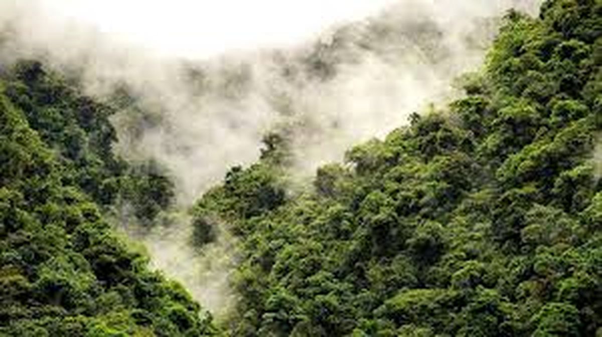 A diferencia de Brasil, Bolivia y Argentina, Costa Rica ha combatido de gran manera la deforestación.