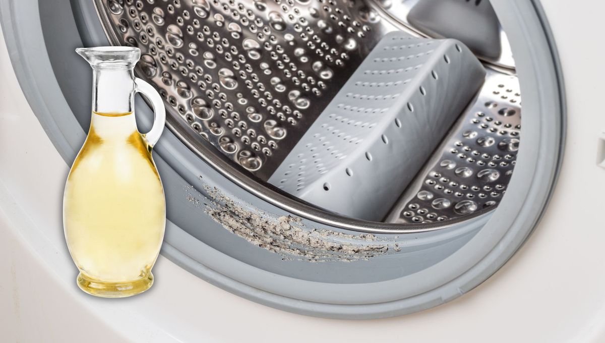 El vinagre ablanda la suciedad y remueve los hongos de la goma. El vinagre ablanda la suciedad y remueve los hongos de la goma. 