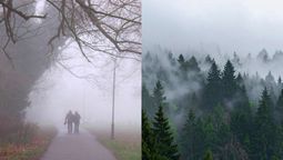 Dos fenómenos comunes del invierno que tienen grandes diferencias. Dos fenómenos comunes del invierno que tienen grandes diferencias.