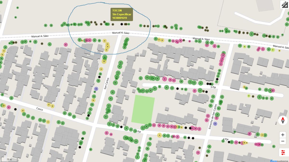 Ejemplo de las referencias de cada especie de árbol. En este caso se hizo click sobre una especie que aparece en color negro, lo que significa que se trata de un Ejemplo de las referencias de cada especie de árbol. En este caso se hizo click sobre una especie que aparece en color negro, lo que significa que se trata de un
