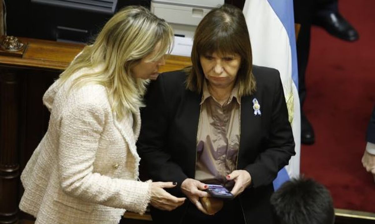 Patricia Bullrich fue la voz cantante del oficiliamo para defender el proyecto de reforma del Banco Central.