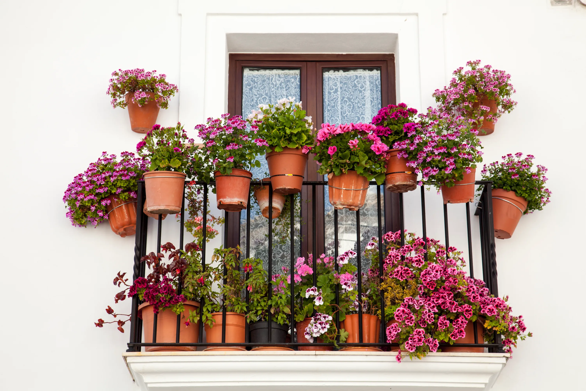 Llena tu balcón de flores esta primavera/ verano. Imagen: Pixabay