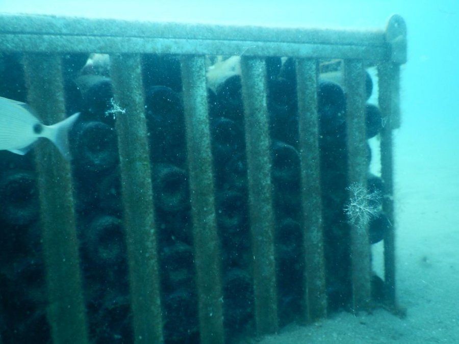 Mendoza tiene la primera bodega submarina del país