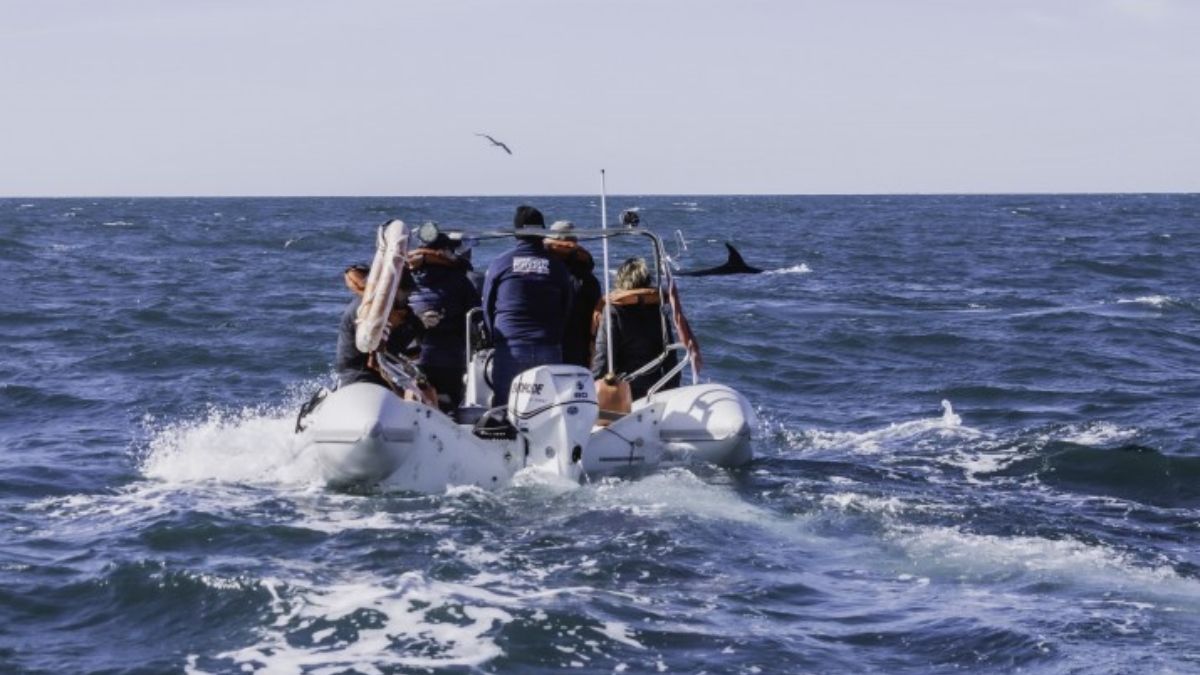 Foto: Diego Cabanas Foto: Diego Cabanas