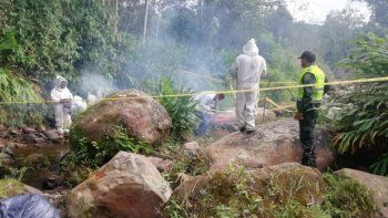 Un niño de 8 años murió tras un ataque abejas