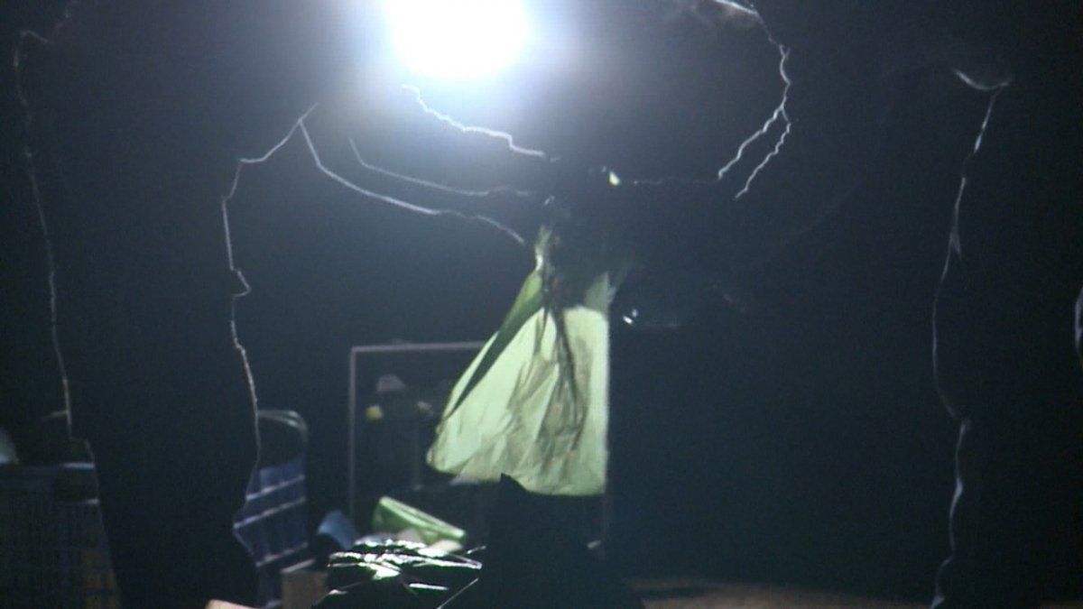 Así trabajaba Policìa Científica en el lugar donde encontraron dos cuerpos. Sospechan que puede tratarse de Kevin y Franco Álvarez.