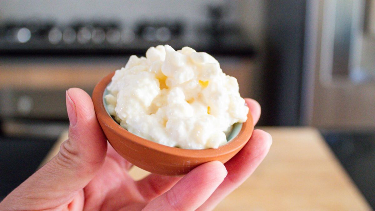 El kéfir, conocido como “oro blanco”, es un alimento milenario lleno de probióticos. El kéfir, conocido como “oro blanco”, es un alimento milenario lleno de probióticos.