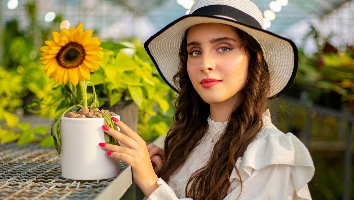 El truco casero para cuidar girasoles y que crezcan fuertes todo el año