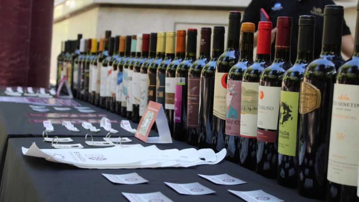 Los vinos argentinos, un potencial que podría expandirse mucho más.