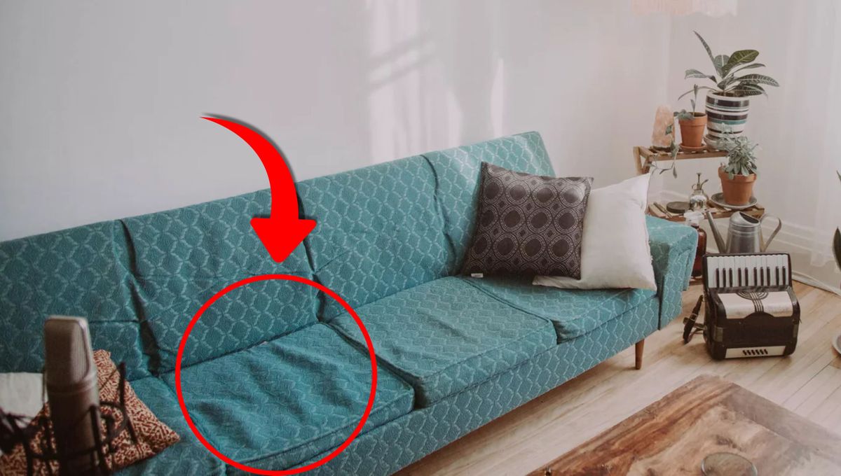 Un truco para mantener el sillón esponjoso y cómodo por más tiempo. 