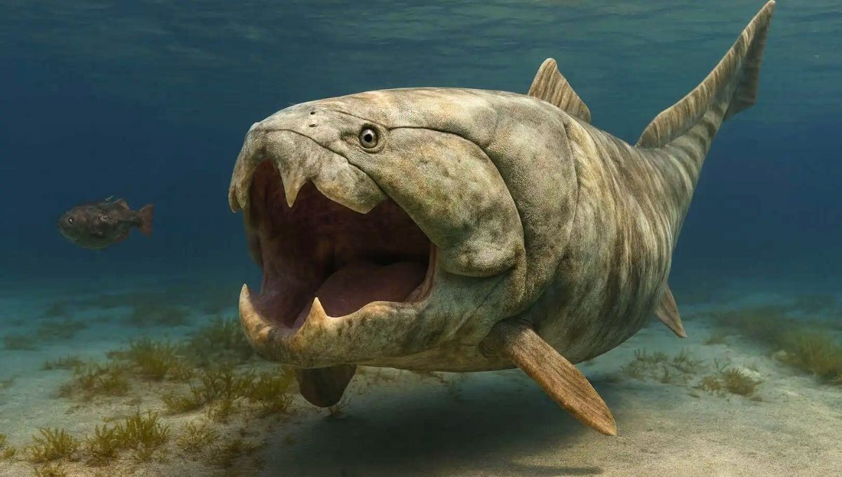 Ni el tiburón, ni la piraña: el depredador del océano al que nadie quiere encontrarse