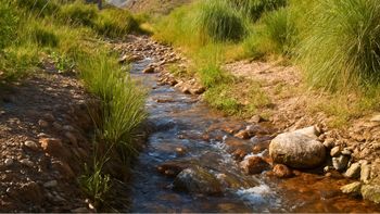El mapa del agua en Mendoza: quiénes gastan más y cómo son los controles al proyecto minero San Jorge El mapa del agua en Mendoza: quiénes gastan más y cómo son los controles al proyecto minero San Jorge