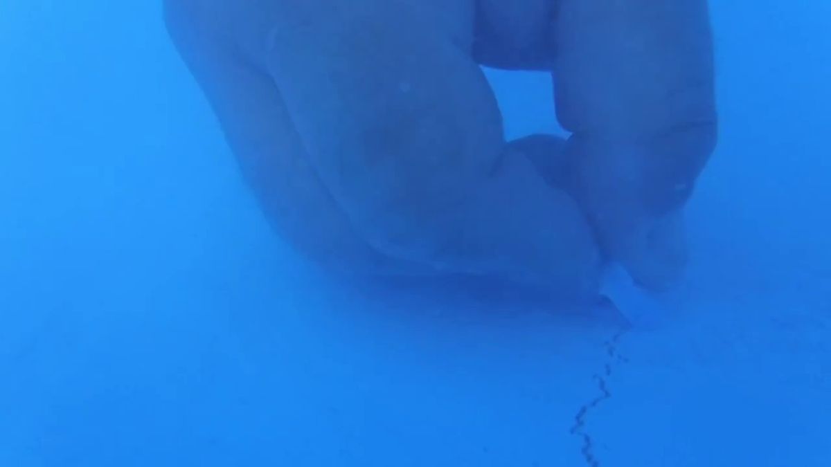 Las grietas son uno de los problemas más comunes en la pileta. Las grietas son uno de los problemas más comunes en la pileta.