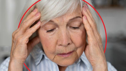 3 alimentos recomendados por Harvard para combatir el Alzheimer