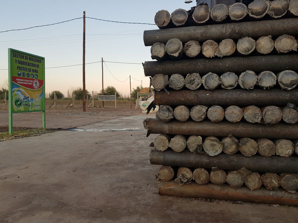 Por día, la empresa ubicada en el parque industrial de Junín puede producir unos 150 postes para viña, y para esto utilizan 1,5 toneladas de plástico de uno solo uso, que de otra manera iría a parar un relleno sanitario