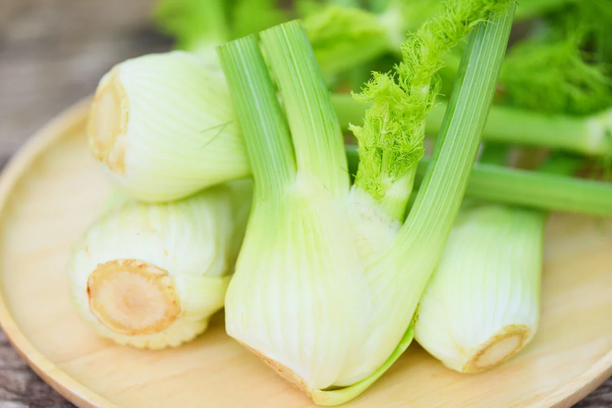 El hinojo tiene grandes beneficios y es un aliado para curar el hígado y los riñones