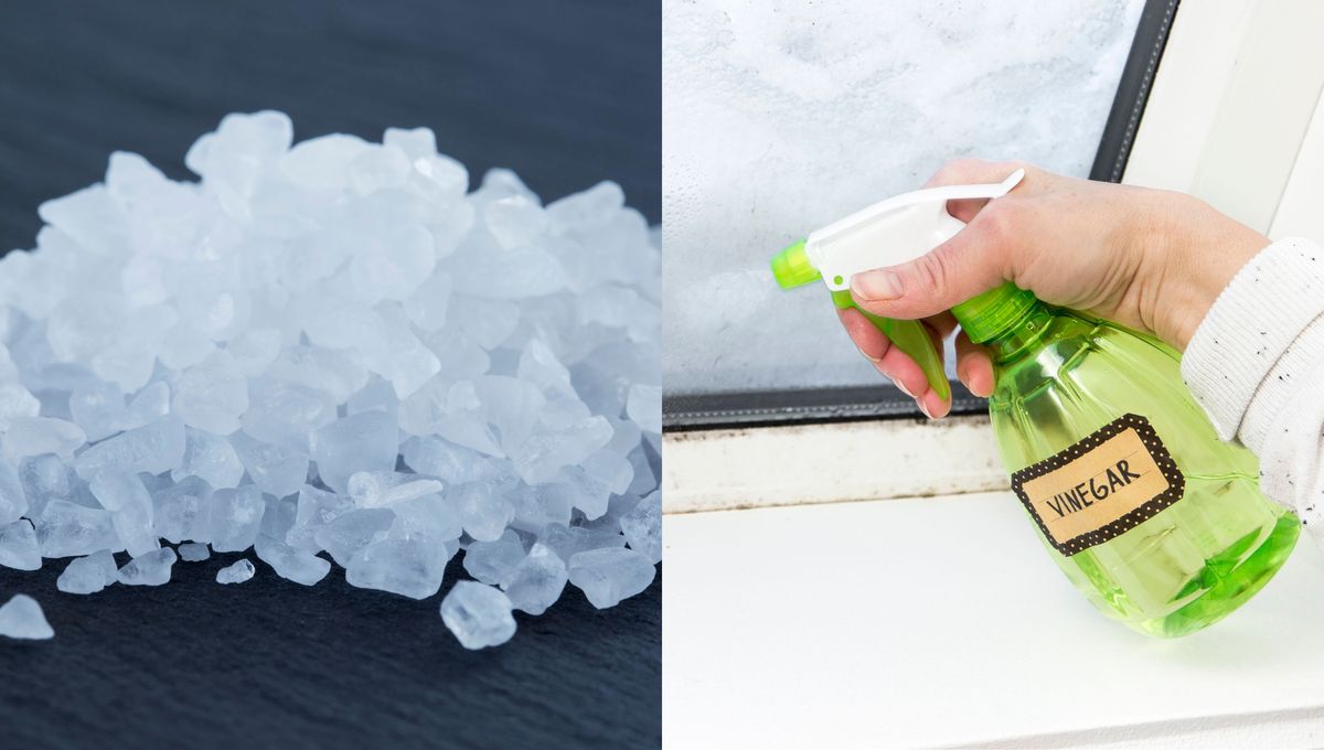 Utiliza vinagre y sal para realizar un truco de limpieza en la escoba.&nbsp;