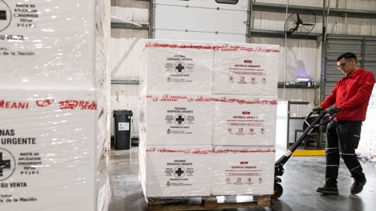 Dengue: llegaron las vacunas gratuitas, cómo y dónde conseguirlas para evitar la enfermedad Dengue: llegaron las vacunas gratuitas, cómo y dónde conseguirlas para evitar la enfermedad