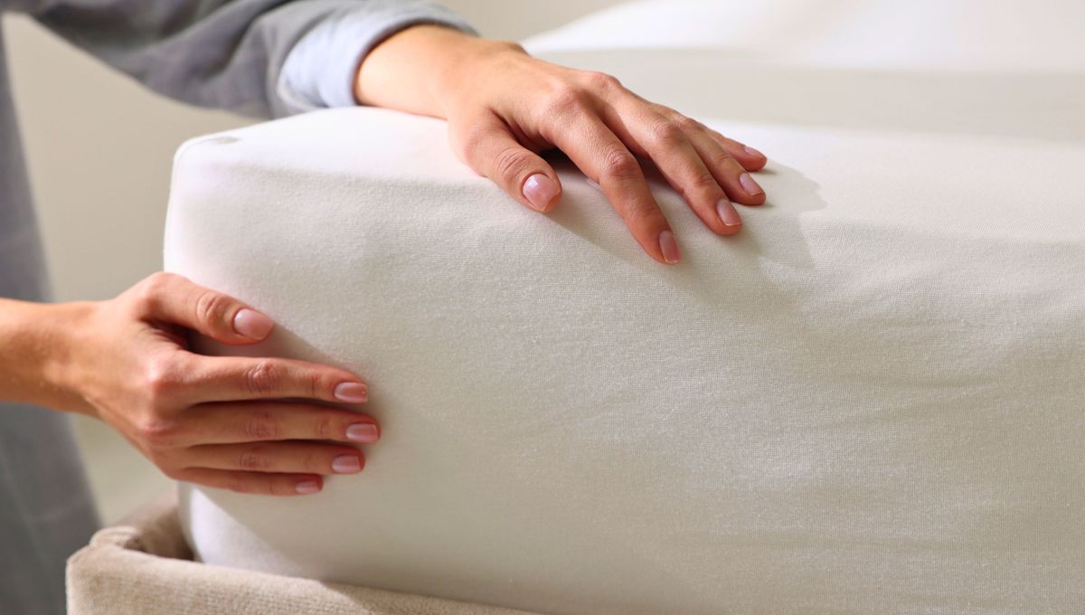 Realiza un lavado y limpieza del colchón por lo menos cada dos semanas. Realiza un lavado y limpieza del colchón por lo menos cada dos semanas.