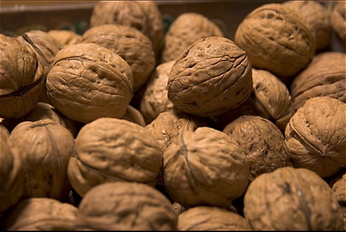Yafueron enviadas nueces con cáscara a los Emiratos Árabes. Yafueron enviadas nueces con cáscara a los Emiratos Árabes.