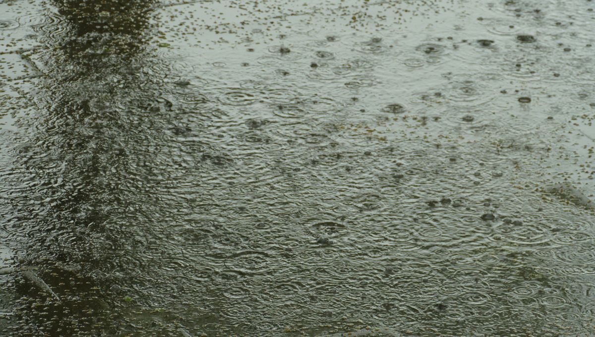 Es el característico olor a lluvia o tierra mojada Es el característico olor a lluvia o tierra mojada 