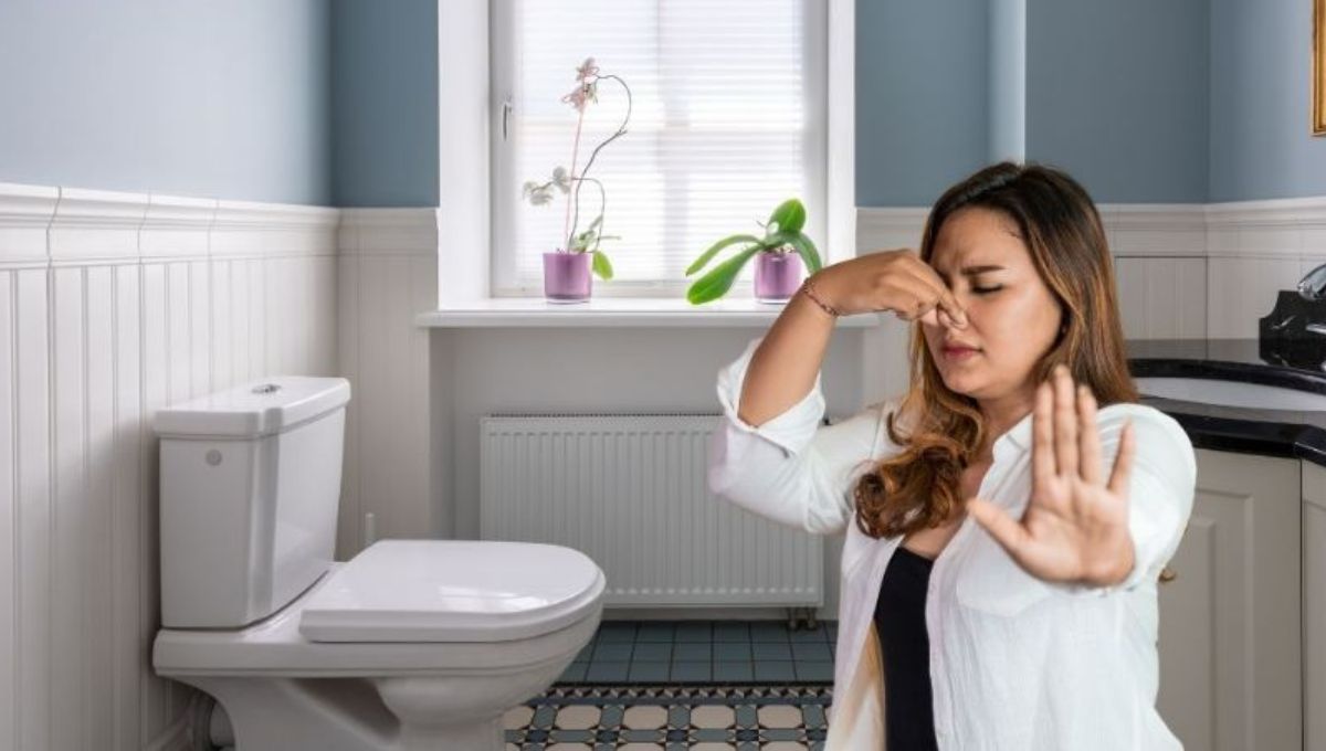 Ni ambientadores ni velas: el eficaz truco de los hoteles para que el baño huela siempre bien