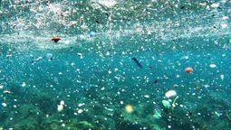 Muchos océanos son contaminados por los microplásticos. Muchos océanos son contaminados por los microplásticos.