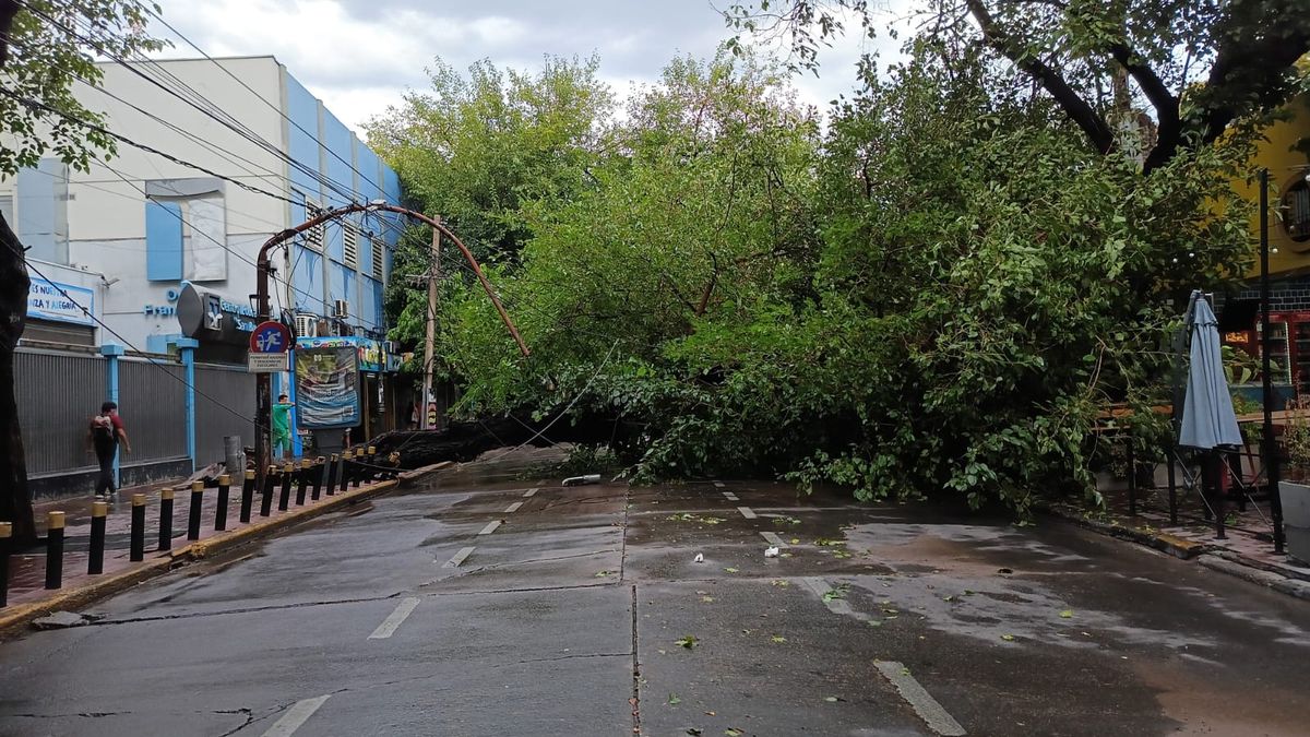 Calles bloqueadas y árboles caídos complicaron la circulación vehicular. Calles bloqueadas y árboles caídos complicaron la circulación vehicular.