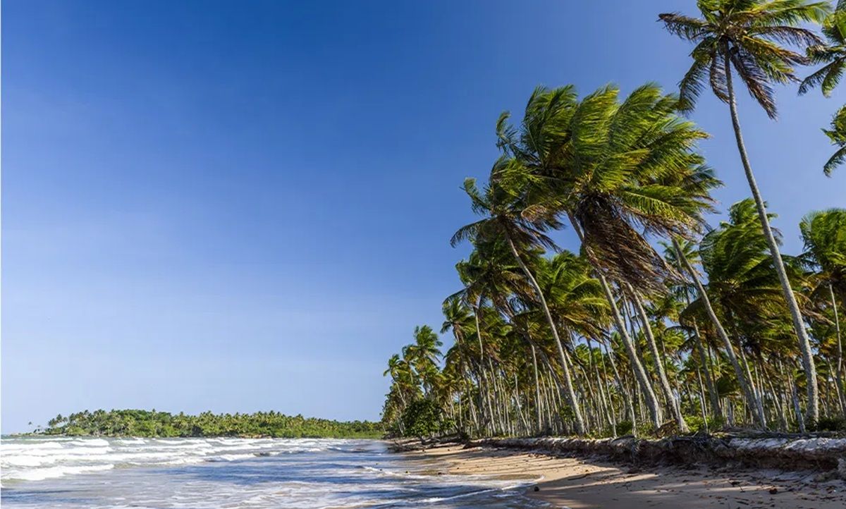 Esta playa secreta se encuentra ubicada en una isla del nordeste de Brasil. Esta playa secreta se encuentra ubicada en una isla del nordeste de Brasil.