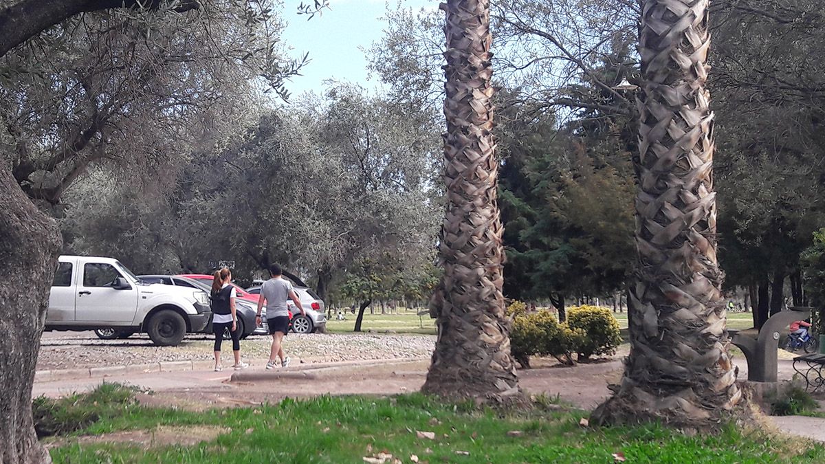 Cerca del finde la temperatura subirá y el cielo estará con poca nubosidad.