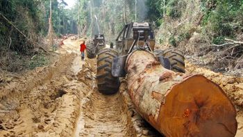 China desafía a Estados Unidos en un selva que asegura el futuro tecnológico de ambas naciones China desafía a Estados Unidos en un selva que asegura el futuro tecnológico de ambas naciones